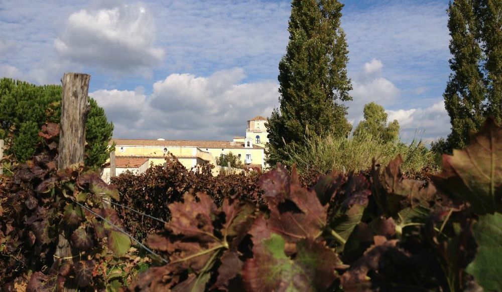 Masseria La Morella Bellizzi Zewnętrze zdjęcie